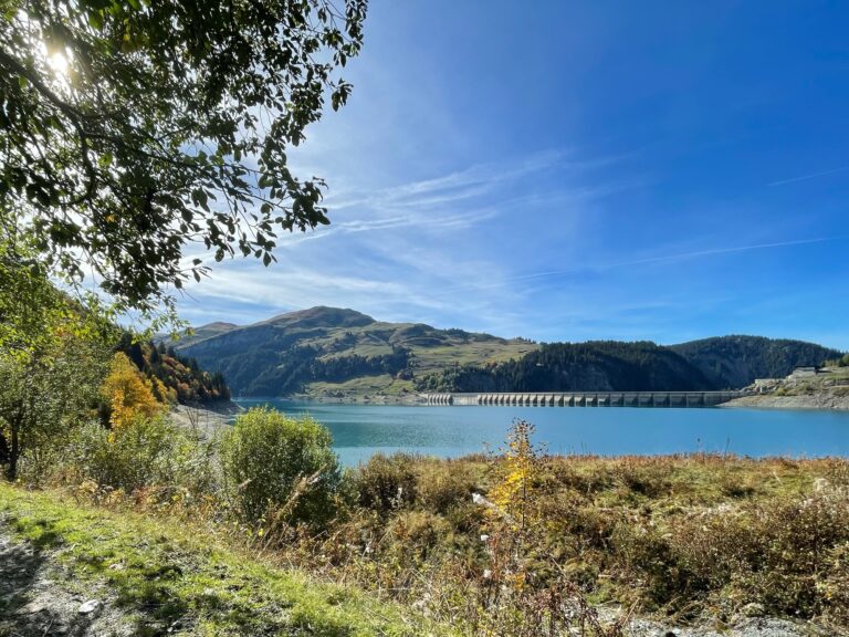 img_0860.jpg